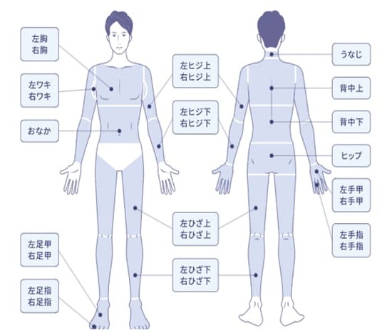 全身脱毛コース対象範囲の図